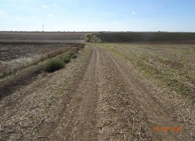 Teren extravilna Cota parte 1/16, CObadin, ID: R2782865 - 5
