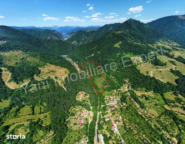 Teren de vanzare pe Transfagara?an ( 75.200 mp ) - 14