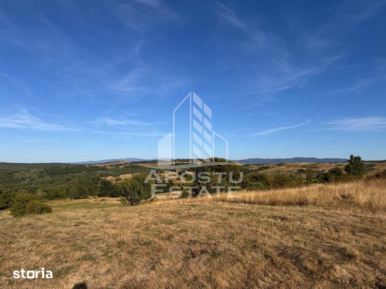 Teren de 50000 mp, în Teliucu Inferior