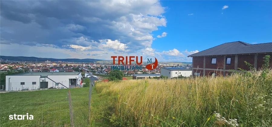 Spațiu comercial, în Cetate