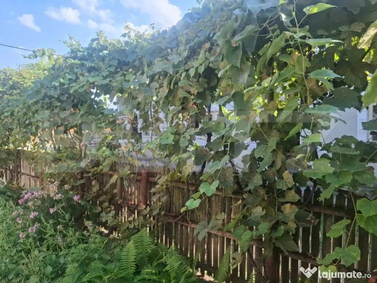 Casă cu 5 camere cu Teren 2100 Mp în Gura Foii