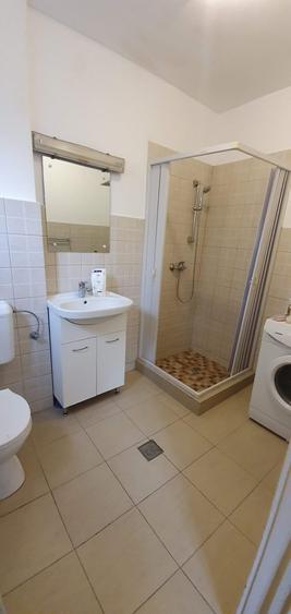 Garsoniera situata in P-ta Rosetti la etaj 1, mobilata, renovata - 7