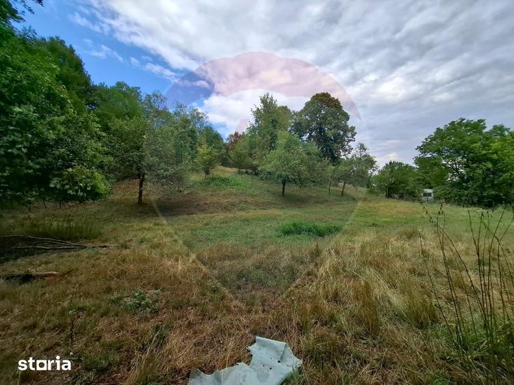 Teren de 990 mp, în Bârzava