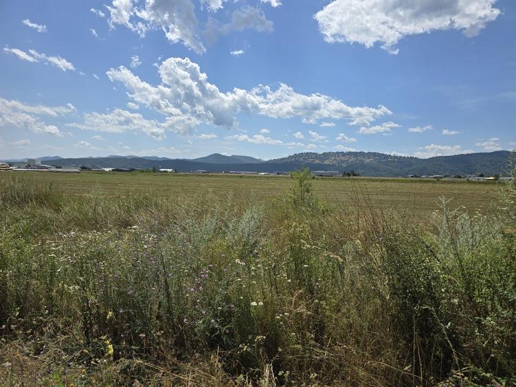 Teren Construcții intravilan de 37742 mp, în Dumbrava Roșie