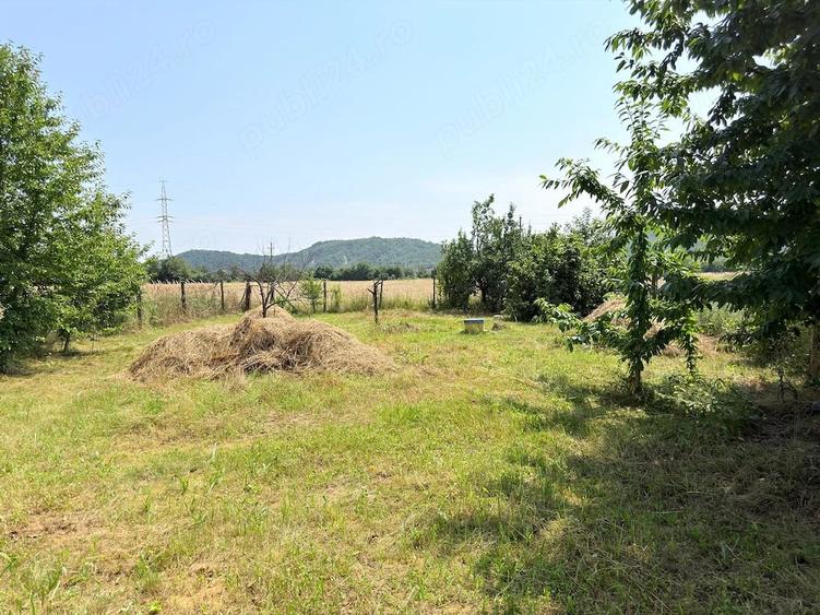 Casă cu Teren 5500 Mp în Central
