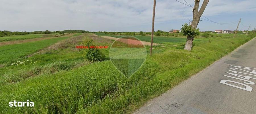Teren de 28800 mp, în Drăgănescu