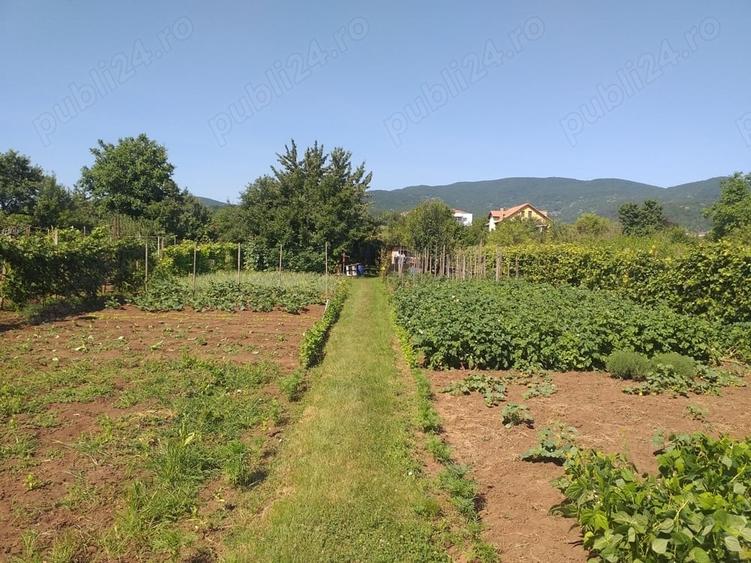 Teren de 1400 mp, în Micești
