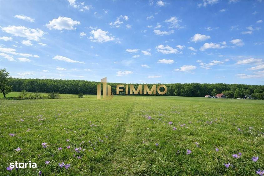 Teren de 3200 mp, în Mitocu Dragomirnei