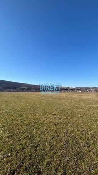 Teren agricol extravilan de 13300 mp, în Independenței
