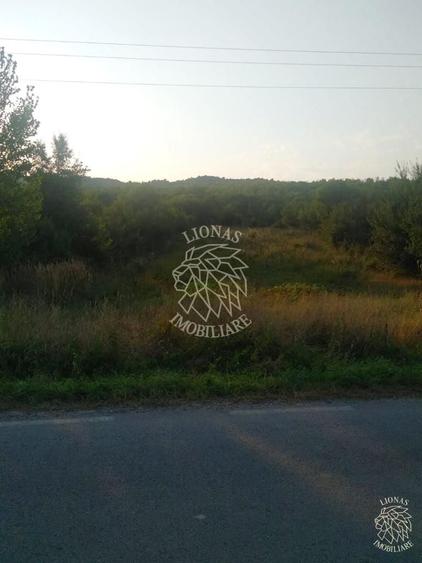Teren agricol extravilan de 5500 mp, în Jelna