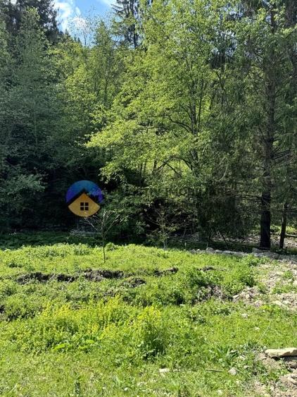 Teren intravilan de 11557 mp, în Ceahlău