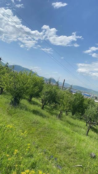 Teren de 2850 mp, în 700