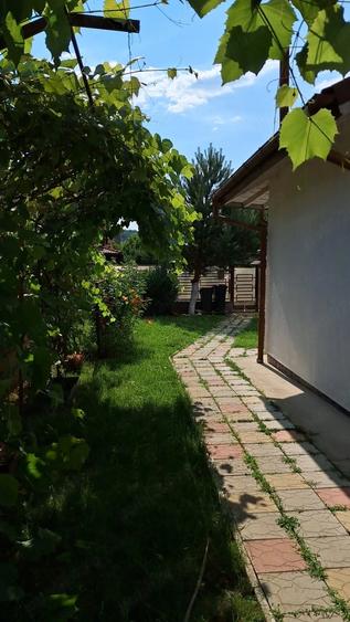 Casa 4 camere Labu?e?ti 160 mp utili , 600 mp teren - 2
