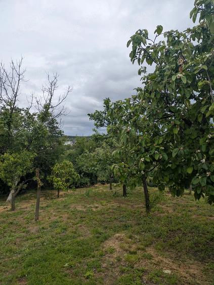 Casă cu 3 camere cu Teren 193 Mp în Mihai Bravu