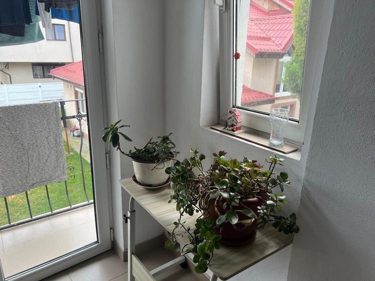 Casă cu 2 camere cu Teren 150 Mp în Balta Albă
