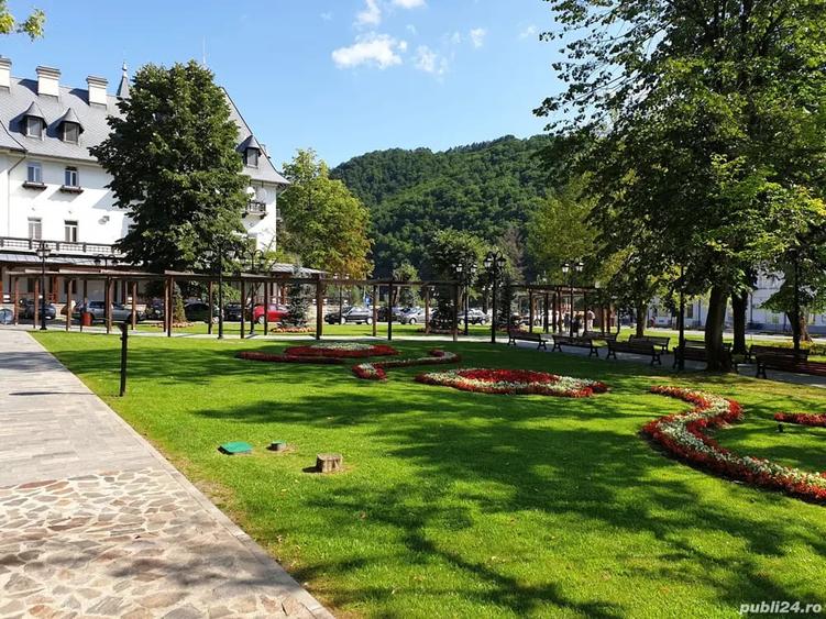 Teren de 1304 mp, în Central