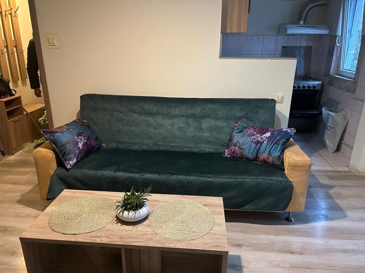 Apartament cu 2 camere semidecomandat în Șagului