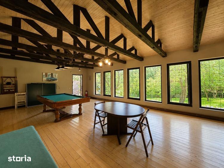 Mountain Chalet | Private Resort | Investment - Nistoresti - 6