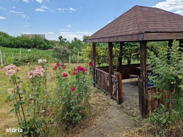 De vanzare casuta mica din caramida cu teren de 1059mp, 27.000euro - 8