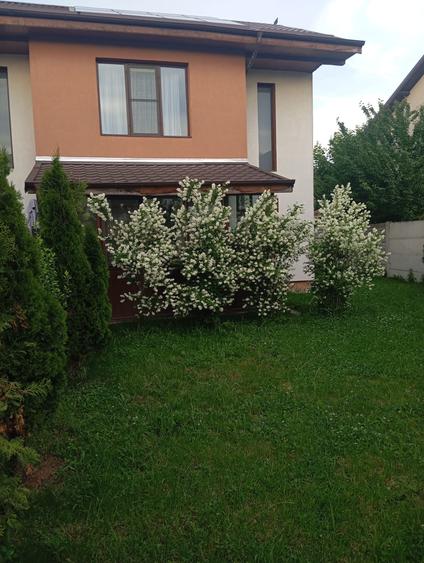 Duplex cu 3 camere cu Teren 350 Mp în Bragadiru