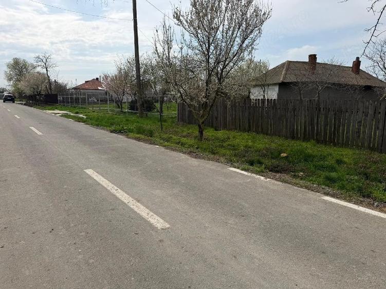 Teren de 5400 mp, în Păltinișu