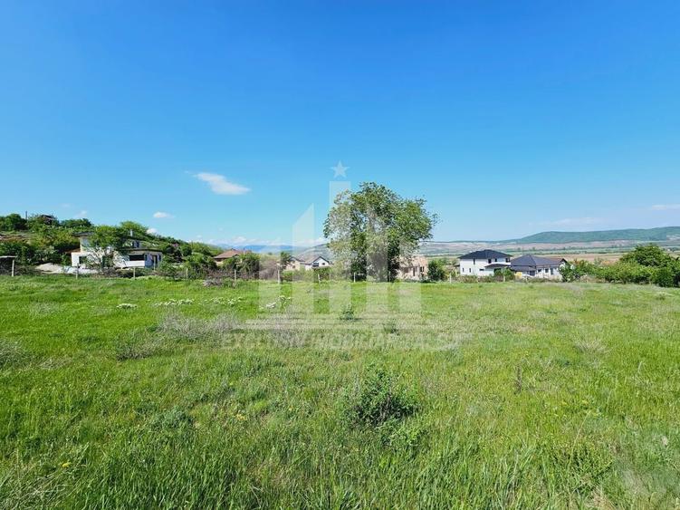 Teren Construcții intravilan de 3000 mp, în Micești