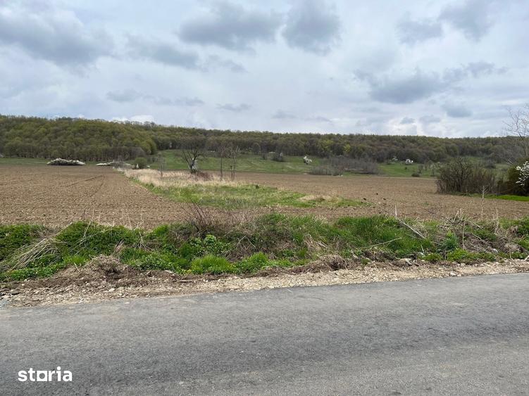 Teren de 2547 mp, în Vălenii de Munte