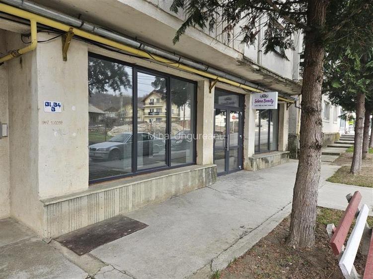 Spatiu comercial de inchiriat 110 mp Central Fieni