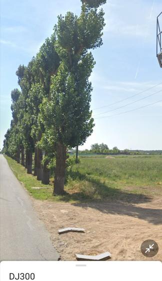 Teren de 6250 mp, în Găneasa