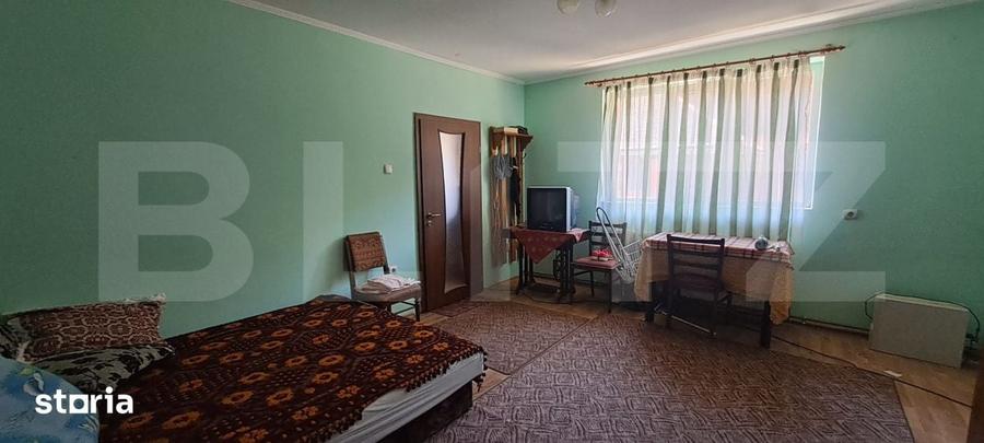 Casă cu 10 camere cu Teren 5500 Mp în Hârseni