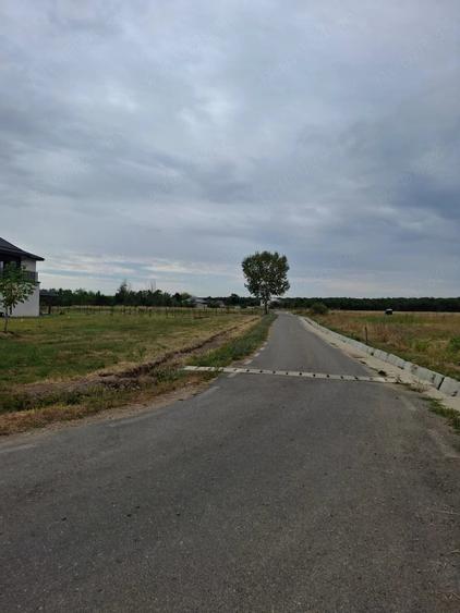 Teren de 2500 mp, în Lucieni