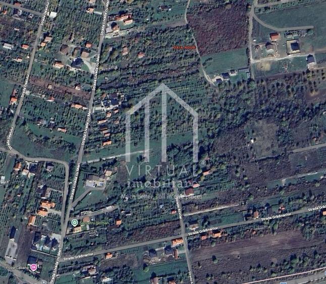 Teren Construcții intravilan de 250 mp, în Daia