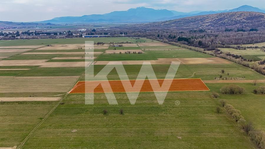Teren agricol intravilan de 1570 mp, în Zărnești