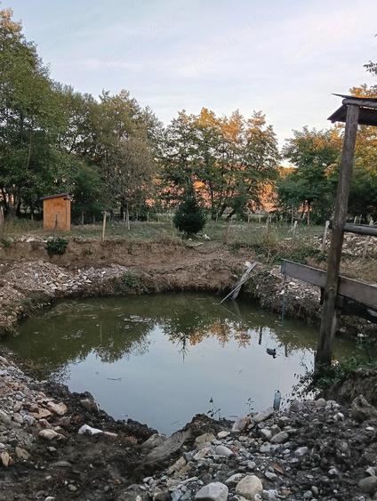 Casă cu Teren 1500 Mp în Romos