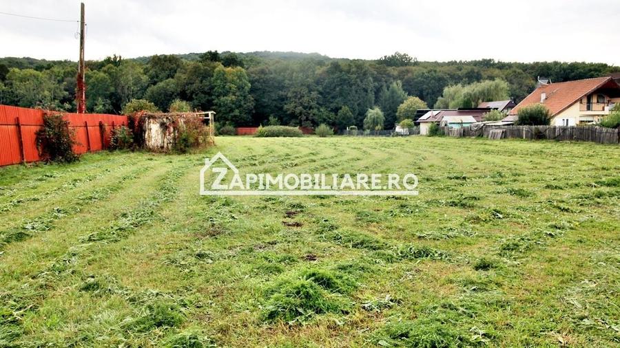 Teren Construcții intravilan de 5400 mp, în Corunca