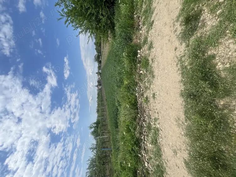 Teren de 1600 mp, în Dragomirești