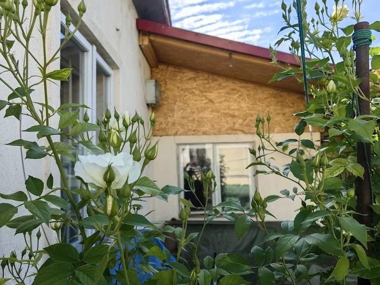 Casă cu 2 camere cu Teren 53 Mp în Central