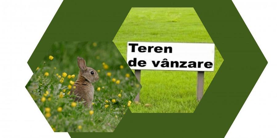 Teren de 18000 mp, în Vest