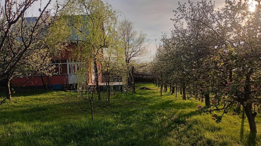 Casă individuală cu 3 camere cu Teren 2000 Mp în Bârnova