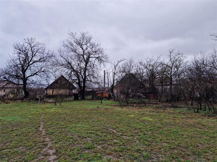 Casă individuală cu 4 camere cu Teren 4600 Mp în Gepiu