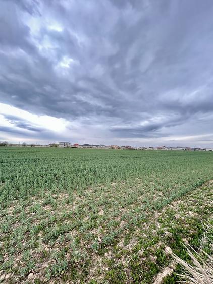 Teren agricol extravilan de 4000 mp, în Aeroport