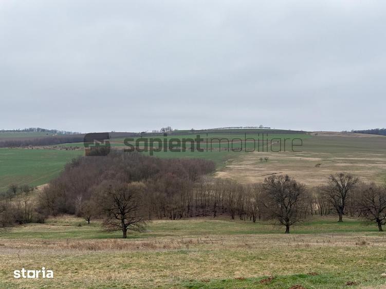 Teren de 8 mp, în Husasău de Tinca