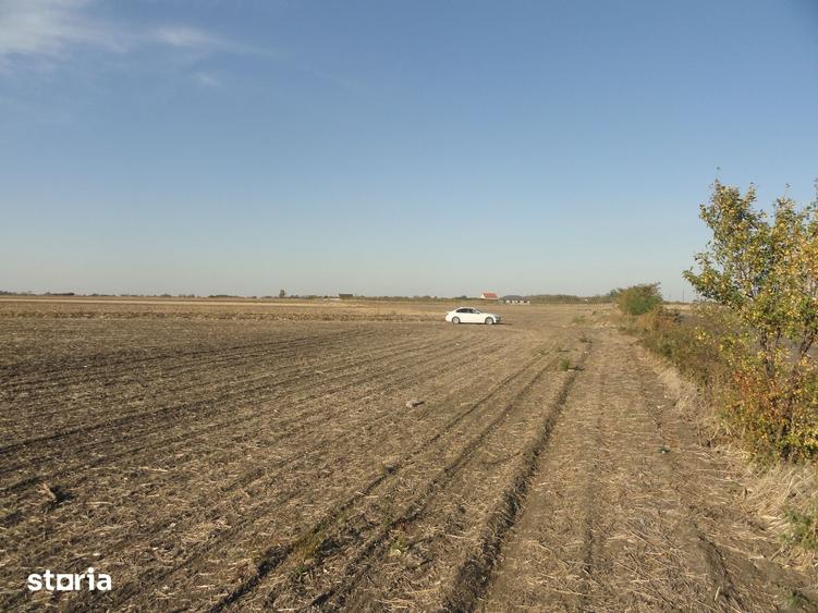 Teren de 53500 mp, în Șofronea