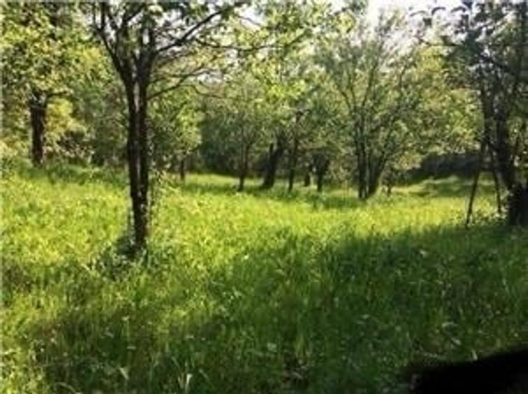 Teren de 2477 mp, în Plai