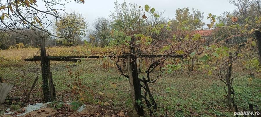 Casă cu 3 camere cu Teren 2493 Mp în Pădina