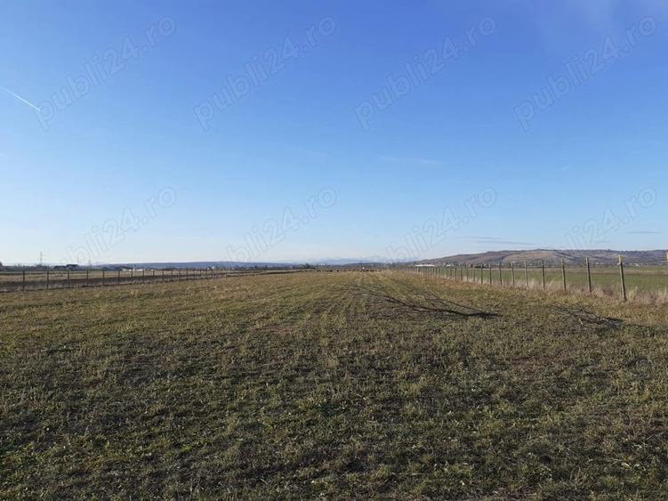 Teren de 10000 mp, în Bucov