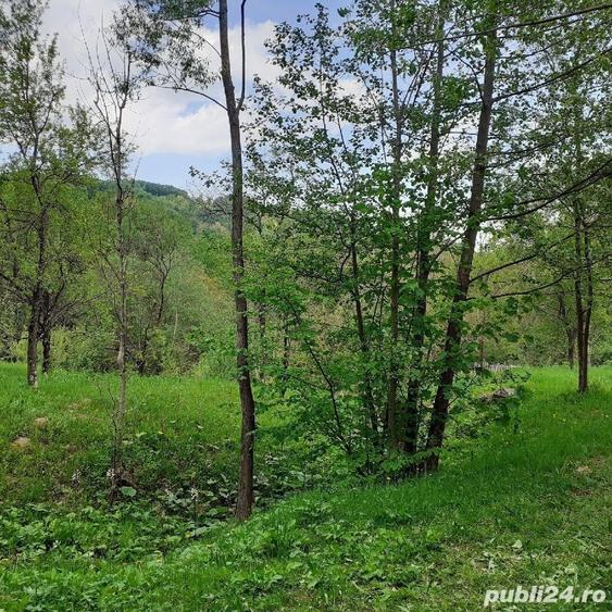 Teren de 5150 mp, în Șotrile