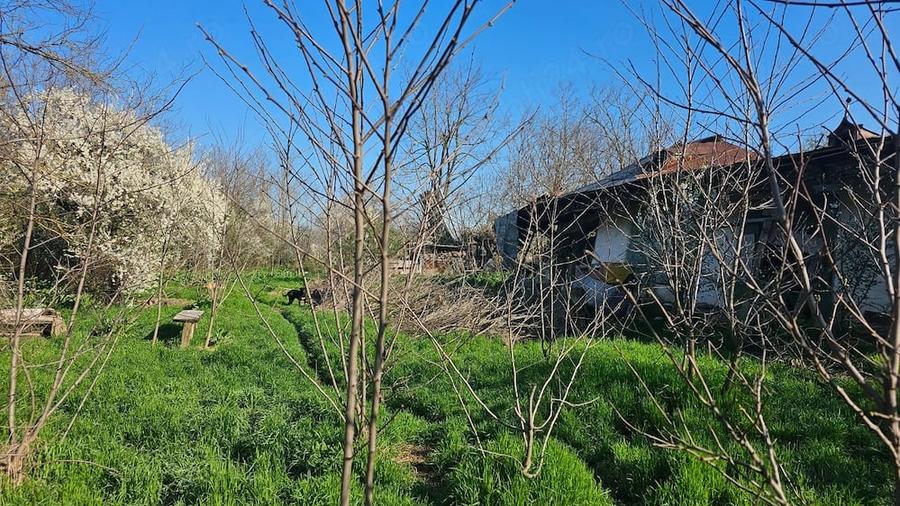 Teren de 1850 mp, în Progresu