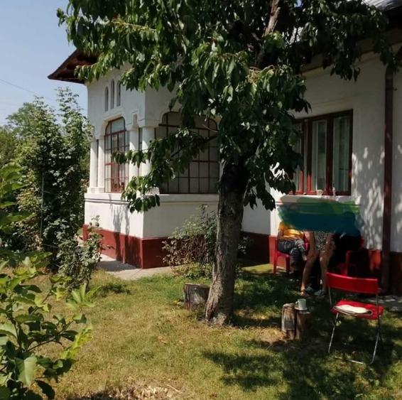 Casa Traditionala Romaneasca Suseni Arges - 1