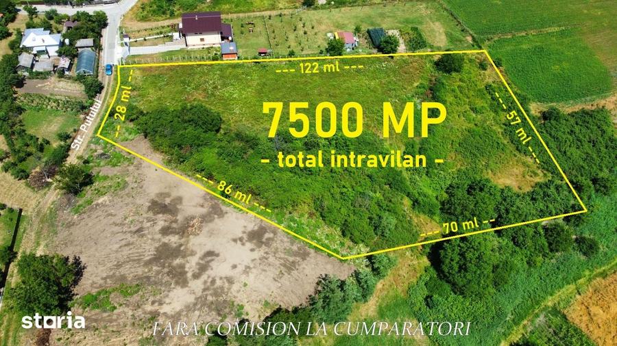 Teren de 7500 mp, în Râureni